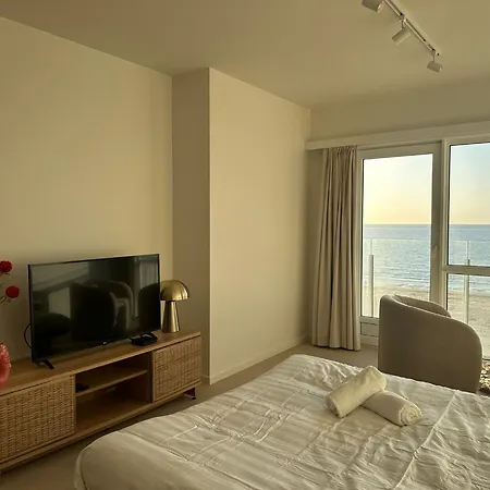 Appartement - Met Prachtig Zeezicht! Oostende